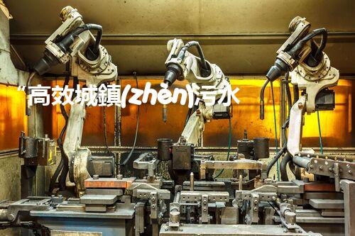 “高效城鎮(zhèn)污水處理流程，守護(hù)碧水藍(lán)天新篇章”